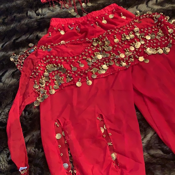 Belly dancer costume - Picture 2 of 5